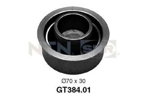 GT384.01 GT384.01