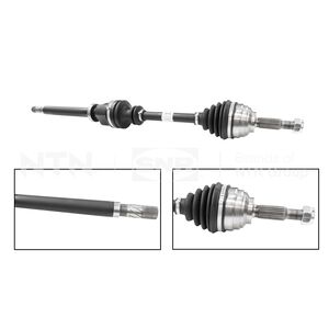 R-DK55.186 R-DK55.186