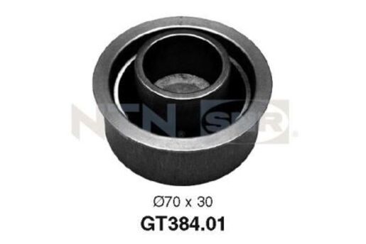 GT384.01 GT384.01